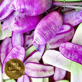 Rábano morado por dentro (1pza)